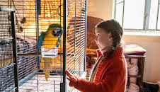 Kommt ein Vogel geflogen