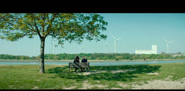 La trampa de la araña (2019)