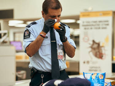 13:50: Border Patrol New Zealand | ProSieben Maxx | 8/26 2026