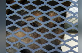 Law on the Border Season 1: Faceless Enemy