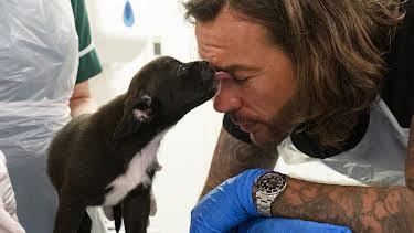 12:00 PM: Pete Wicks: For Dogs' Sake (S1 E3) (S1) | W | 4/3 2026