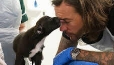 Pete Wicks: For Dogs' Sake (S1 E3)