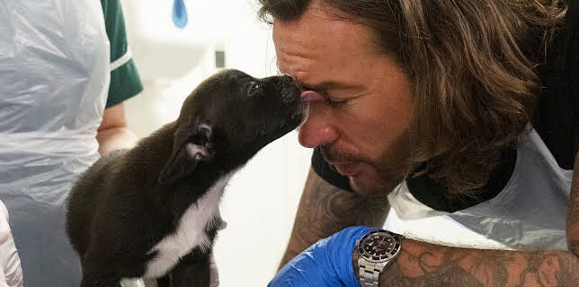 7:00 PM: Pete Wicks: For Dogs' Sake (S1 E3) (S1) | W | 11/29 2025