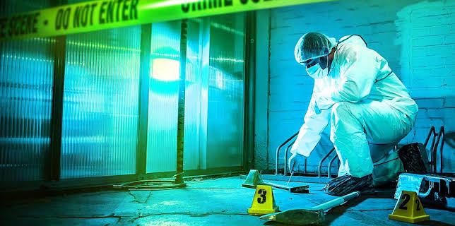 9:00 PM: Forensics: The Real CSI (S6) | BBC Two | 3/1 2026