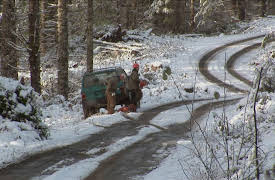 Ax Men Season 1: A Logger's Thanksgiving