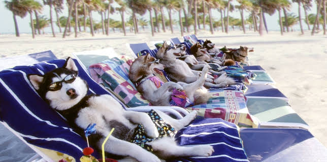 Aventuras en Alaska (2002)