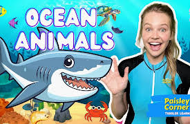 Paisley's Corner With Silly Miss Lily: Learn Ocean Animals