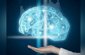 The Aging Brain: Aging and Brain Structure