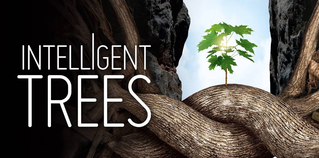 Intelligent Trees
