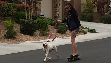 07:40: Pit Bulls & Parolees (S7 E6) (S7) | Animal Planet | 4/11 2026