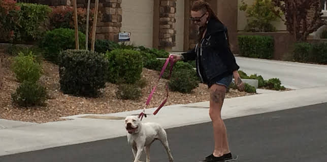 07:40: Pit Bulls & Parolees (S7 E6) (S7) | Animal Planet | 2/7 2026