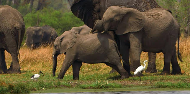 10:29: Stadt Land Kunst Spezial | Arte | 11/15 2025