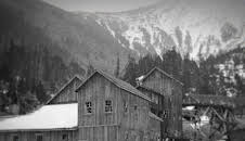 American Gold: Fünf Brüder auf Goldsuche