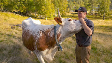 14:25: Olav på Kvipt: Sjølvberging | NRK 1 | 3/28 2026