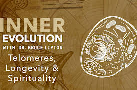 Inner Evolution: Telomeres, Longevity & Spirituality