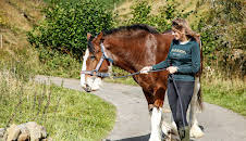 Our Yorkshire Farm (S5 E4)