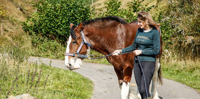 3:40 PM: Our Yorkshire Farm (S5 E4) (S5) | Channel 5 | 3/14 2026