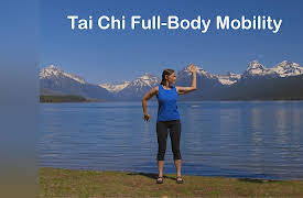 Balance & Strength Exercises for Seniors: 9 Practices with Jane Adams: Tai Chi Full-Body Mobility