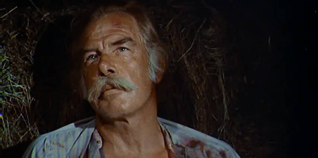 The Spikes Gang (1974)