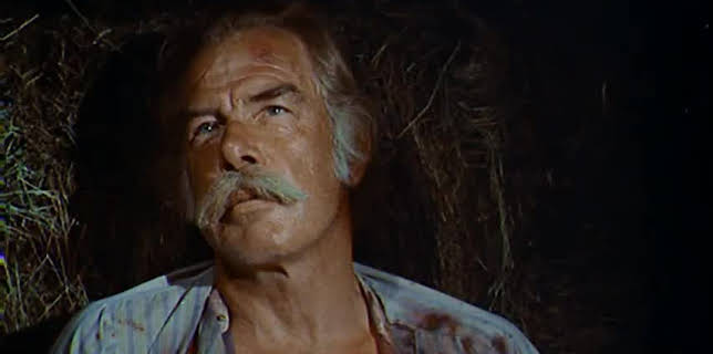 The Spikes Gang (1974)