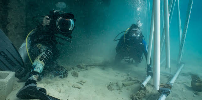 20:00: Sharks Among Us | Animal Planet | 1/14 2026