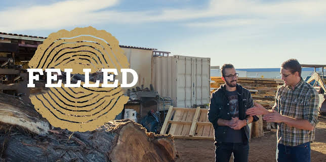 Felled (2017)