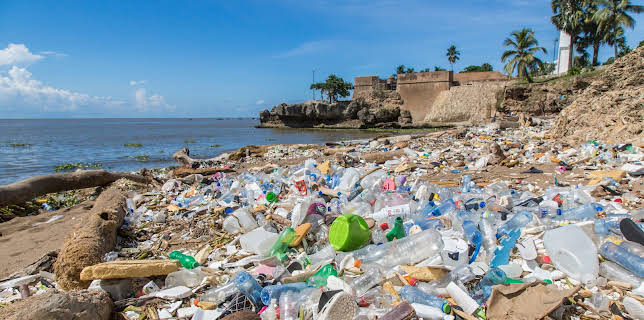 19:30: Plastikmüll - die globale Umweltkatastrophe | ZDFinfo | 12/12 2025