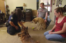 Animal Cops: Phoenix: Episode 5