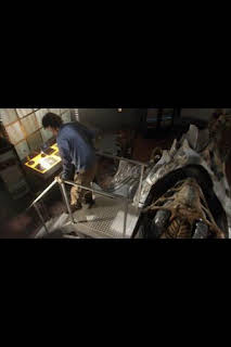 19:21: Stargate Atlantis (T2): Ep.17 Golpe de estado | SYFY | 4/1 2026