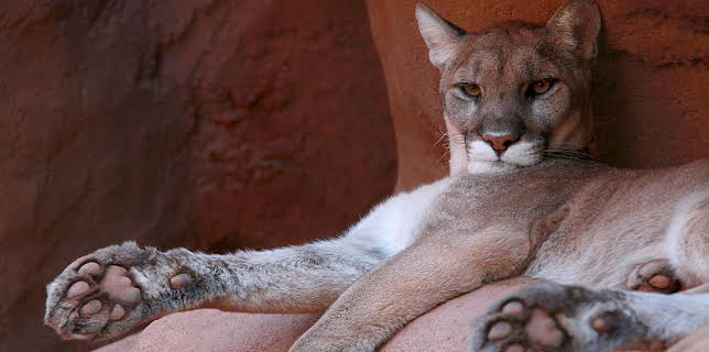 16:20: Grandes Documentales Mexico Indomito | LA 2 | 11/8 2025