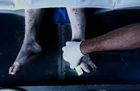 Blood Relatives Season 1: The Deep End