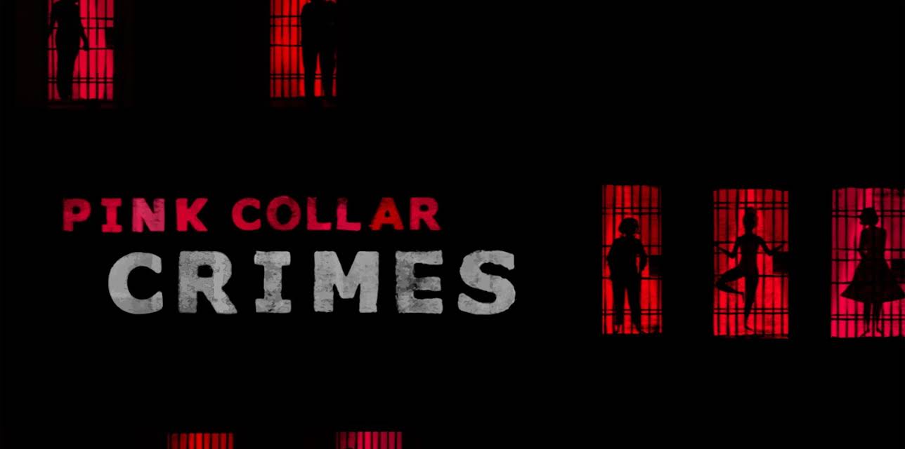 Pink Collar Crimes Season 1