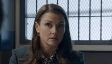 Blue Bloods - Crime Scene New York