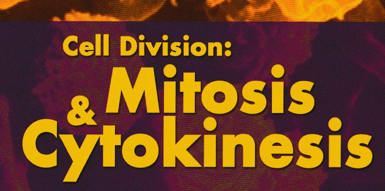 Cell Division: Mitosis & Cytokinesis