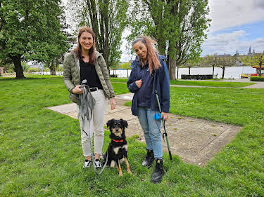 19:10: Der Hundeprofi - Rütters Team | VOX | 4/11 2026