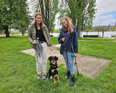 Der Hundeprofi - Rütters Team