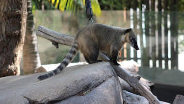 2:00 PM: The Zoo: San Diego (S2) | Discovery Channel | 9/22 2026