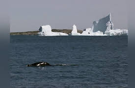 Greenland: Survival At The Edge Of The World: Part 2