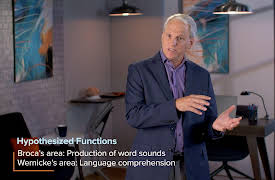 Introduction to Cognitive Science: The Neuroscience of Language