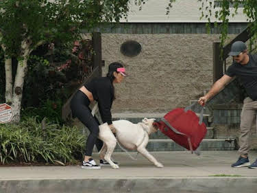 15:45: Cesar Millan: Better Human Better Dog - Bessere Menschen, bessere Hunde | Sixx | 5/17 2026