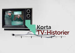Korta tv-historier: Kvarteret Skatan
