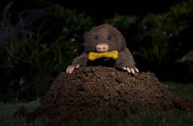 The Sound Collector: Night Noises | Snorgesbord