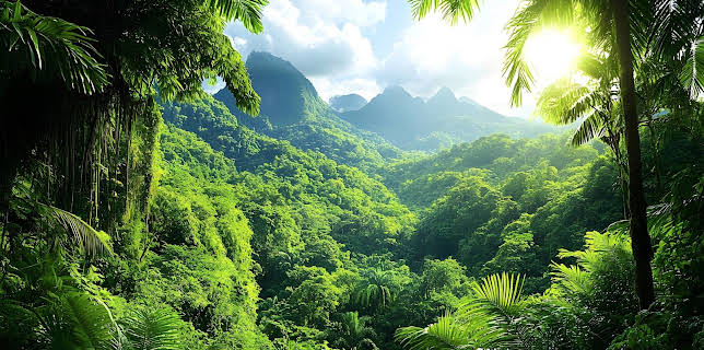 16:45: Grünes Wunder Costa Rica | ARD Alpha | 3/6 2026