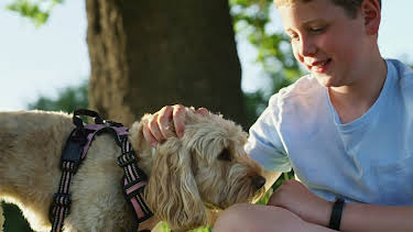 16:25: Hundehuset: Darcy | NRK 2 | 3/31 2026