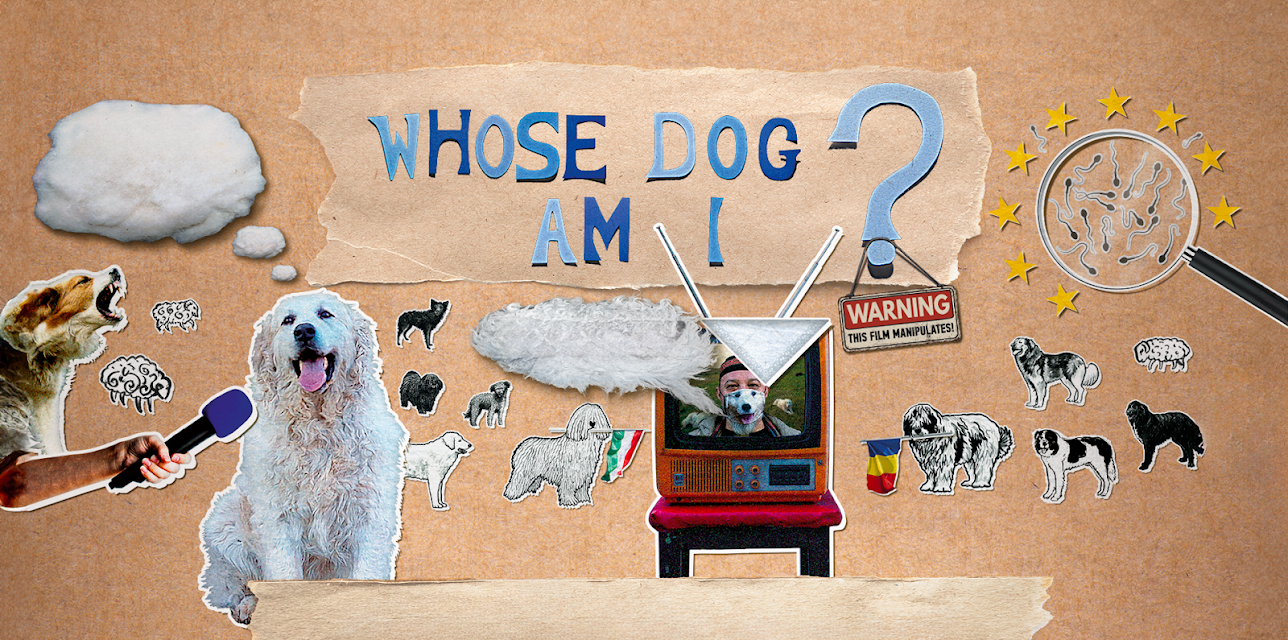 Whose Dog Am I? (2023)
