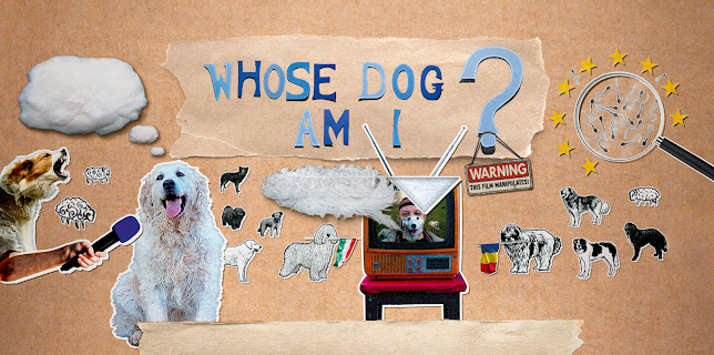 Whose Dog Am I? (2023)