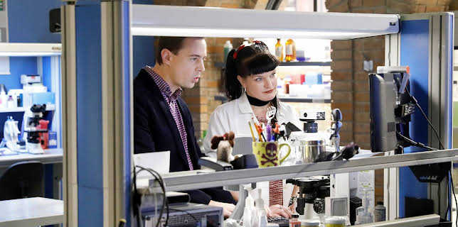 7:00 PM: NCIS (S14 E16) (S14) | 5 USA | 11/10 2025