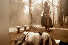 Flatland: Signs of Death