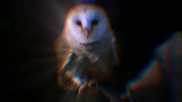 7:30 AM: How Do Animals Do That? (S1) | Discovery Channel | 4/4 2026