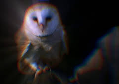 How Do Animals Do That?